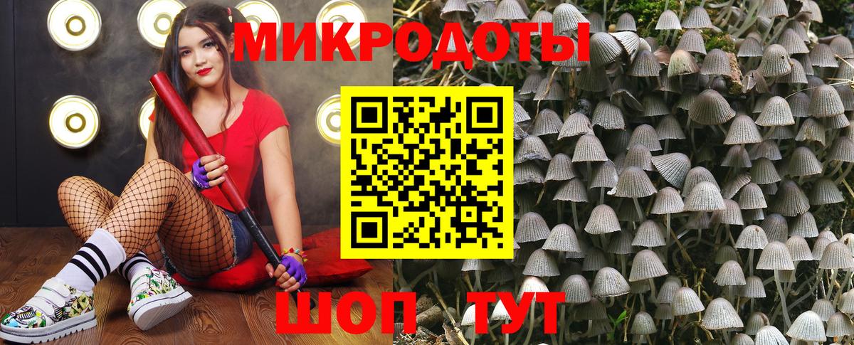 Галлюциногенные грибы Psilocybine cubensis Волжский