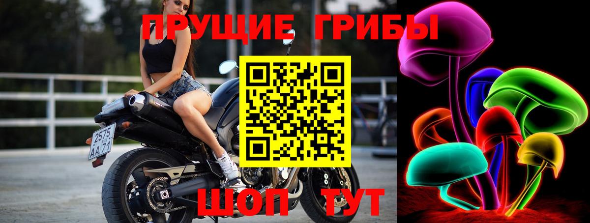 Псилоцибиновые грибы MAGIC MUSHROOMS  Вход с VPN  Галлюциногенные грибы прущие грибы  Волжский 